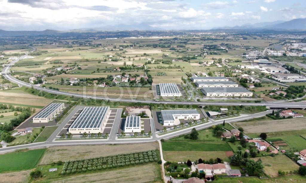 immagine annuncio 2 di 8