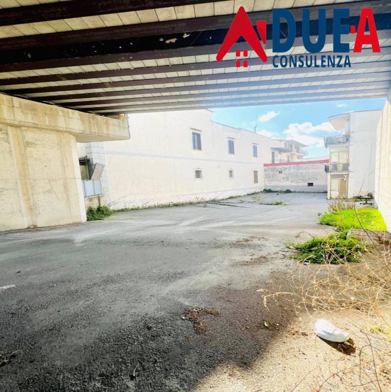 immagine annuncio 6 di 11