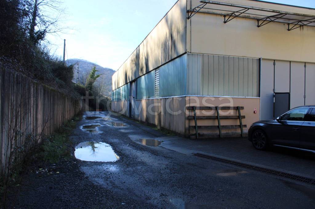 immagine annuncio 2 di 13