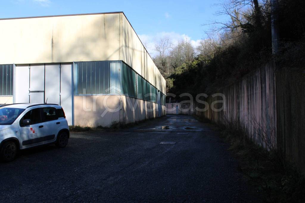 immagine annuncio 4 di 13