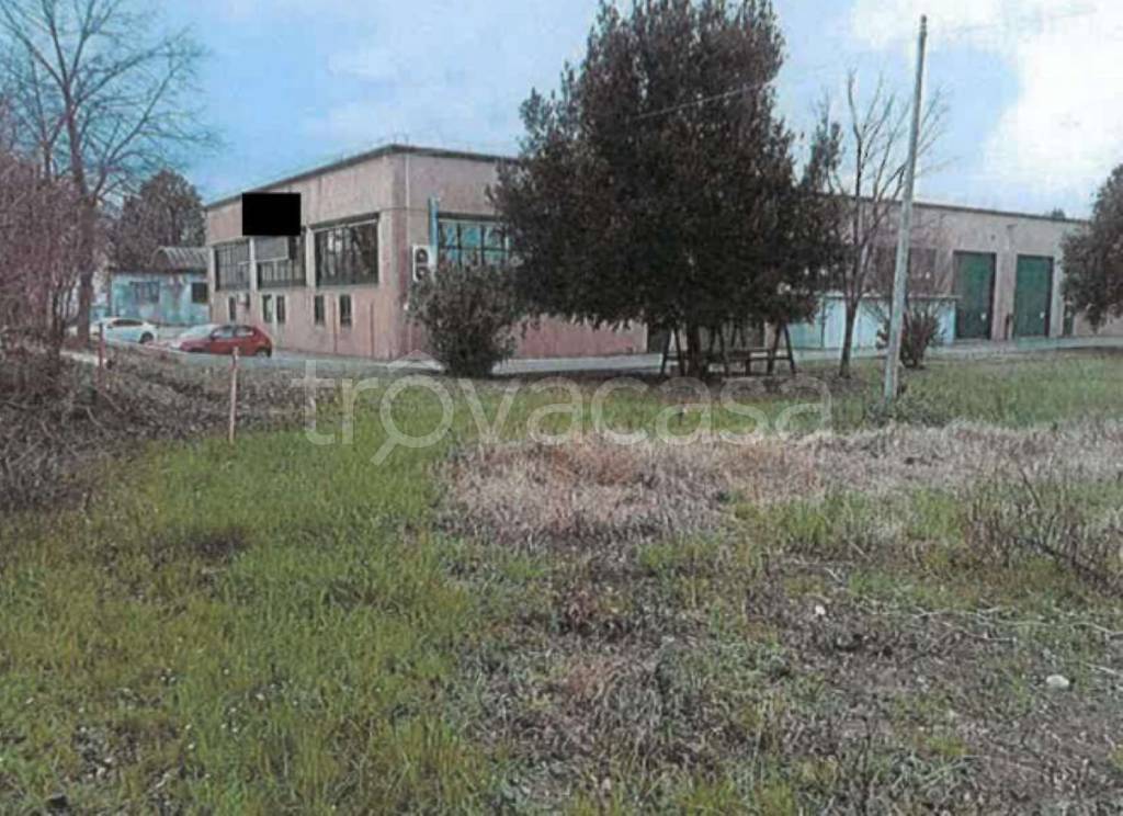 immagine annuncio 1 di 11