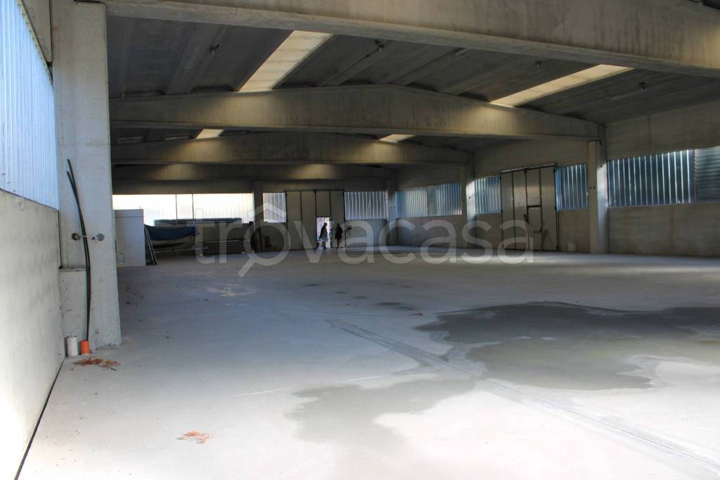 immagine annuncio 6 di 13