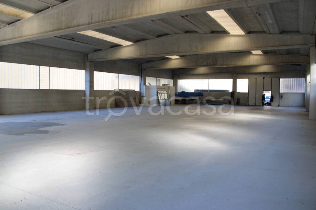 immagine annuncio 7 di 13