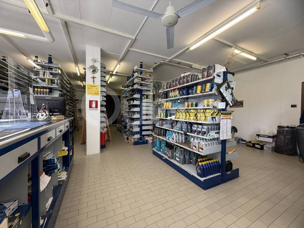 immagine annuncio 7 di 14