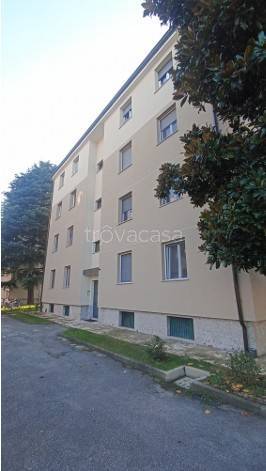 immagine annuncio 7 di 14