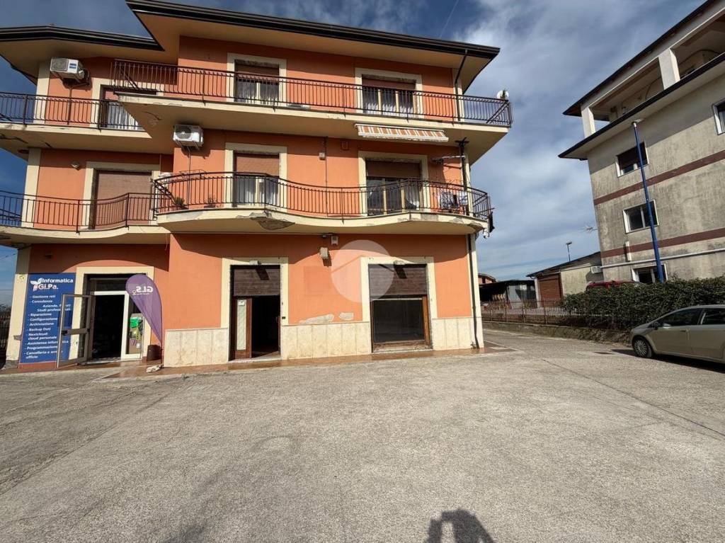 immagine annuncio 9 di 15