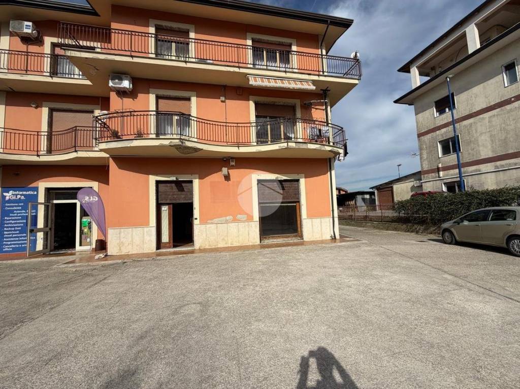 immagine annuncio 10 di 15