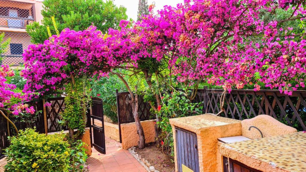 immagine annuncio 5 di 7