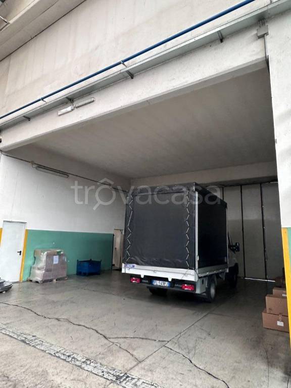 immagine annuncio 3 di 9