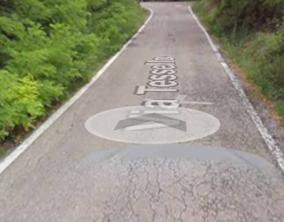 immagine annuncio 2 di 11