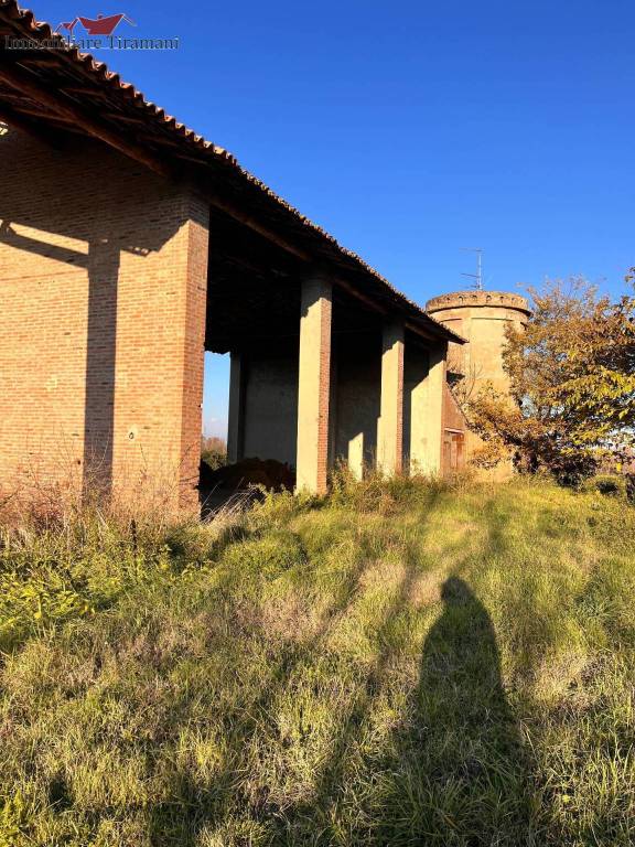 immagine annuncio 12 di 15