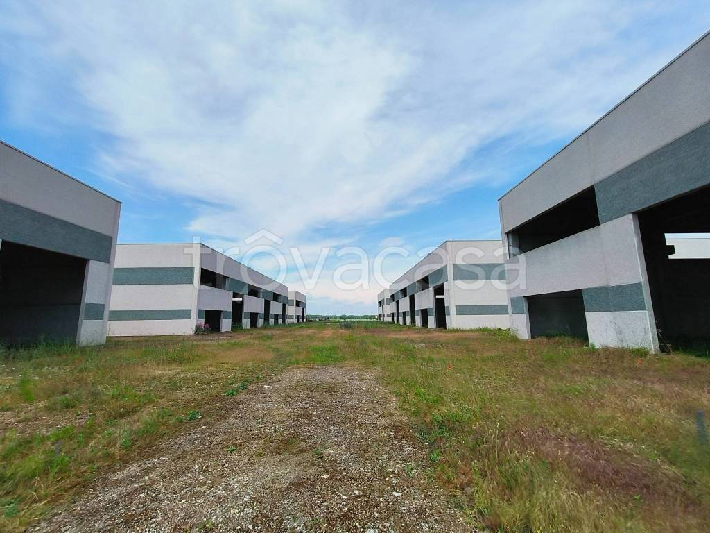 immagine annuncio 2 di 8