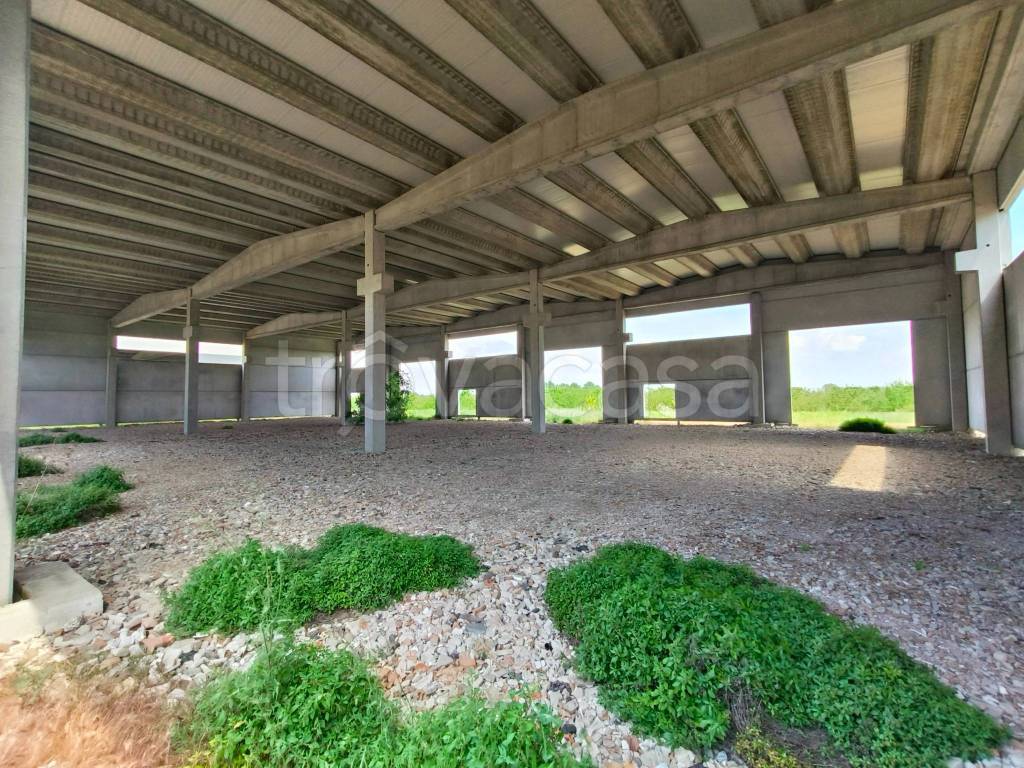 immagine annuncio 3 di 8