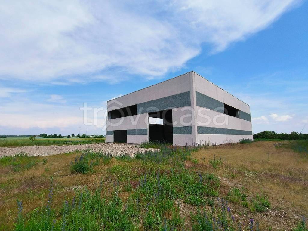 immagine annuncio 1 di 8