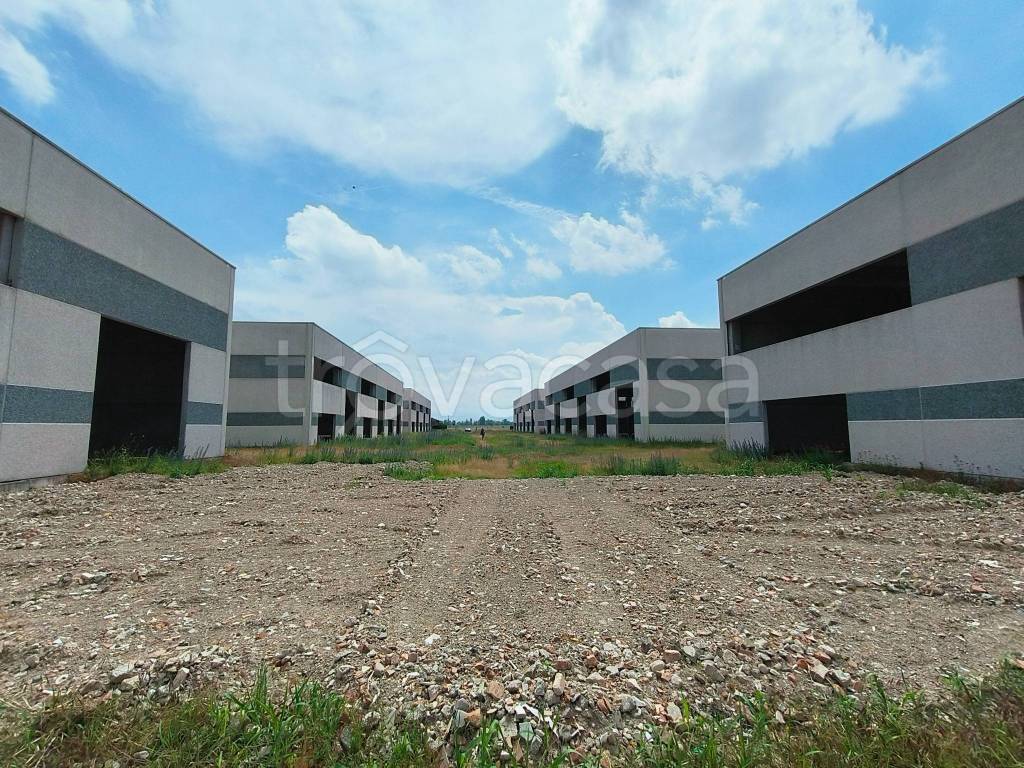 immagine annuncio 4 di 8