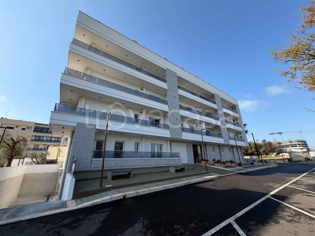 immagine annuncio 9 di 12