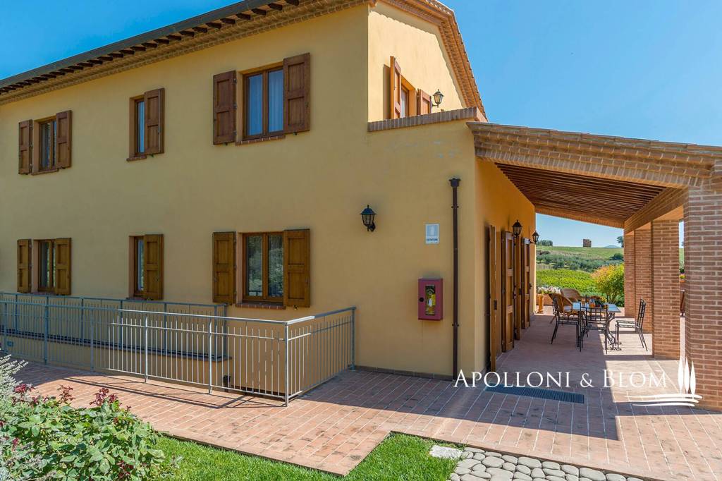 immagine annuncio 13 di 15