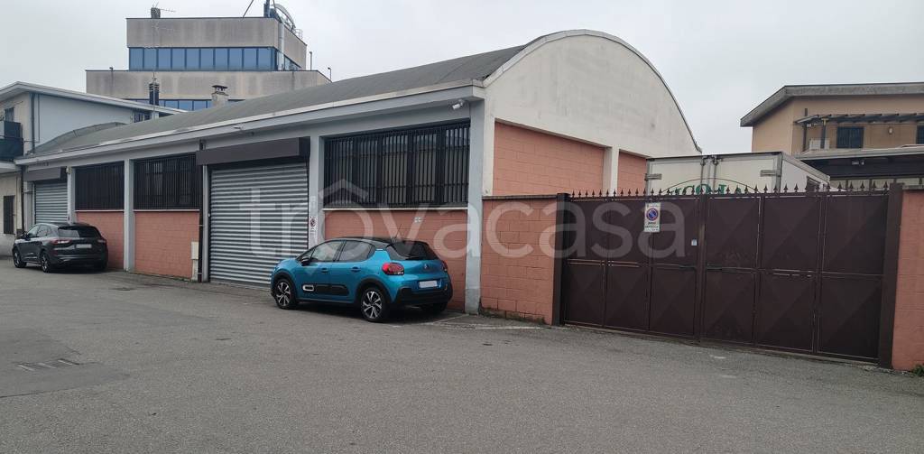 immagine annuncio 3 di 15