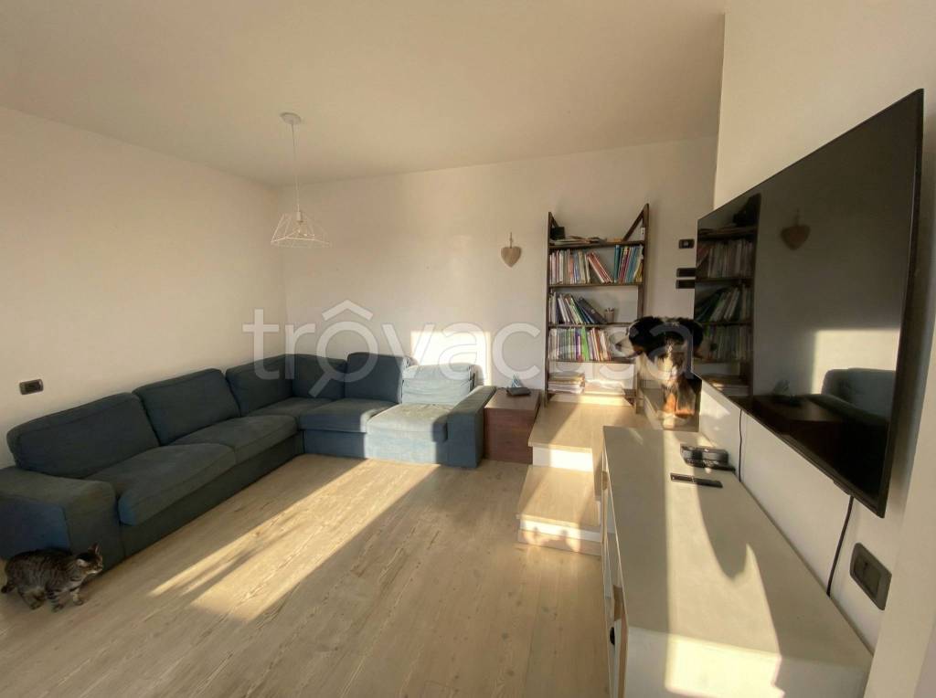 immagine annuncio 7 di 15