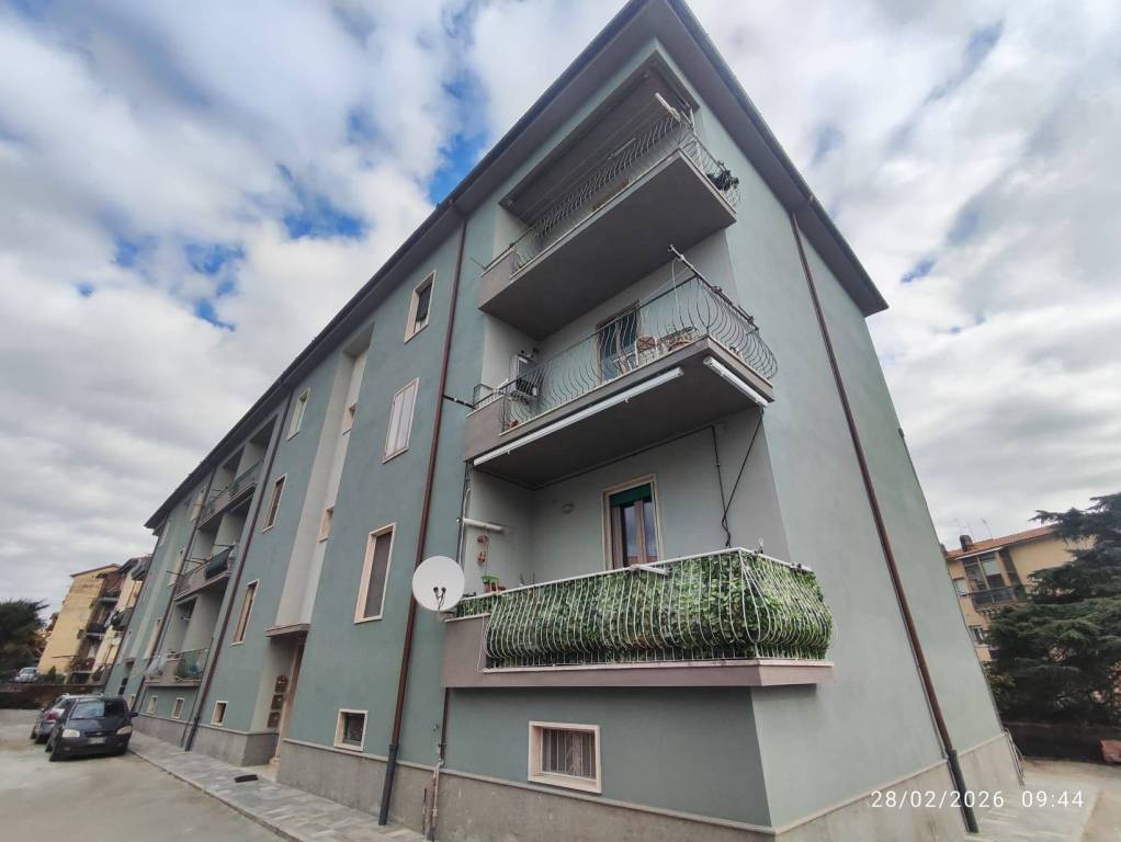 immagine annuncio 5 di 15