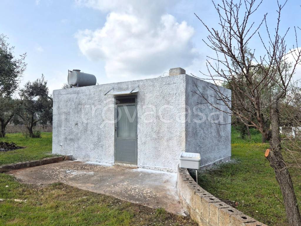 immagine annuncio 2 di 13