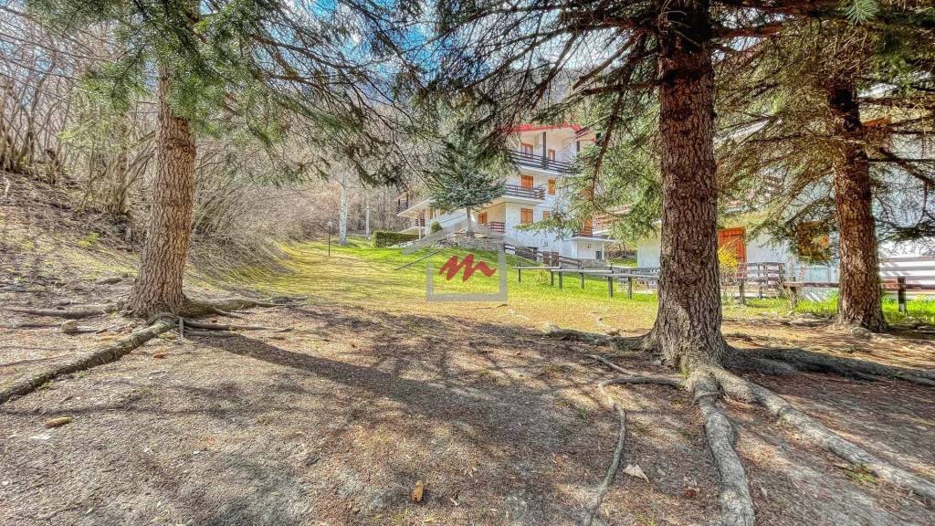 immagine annuncio 11 di 12