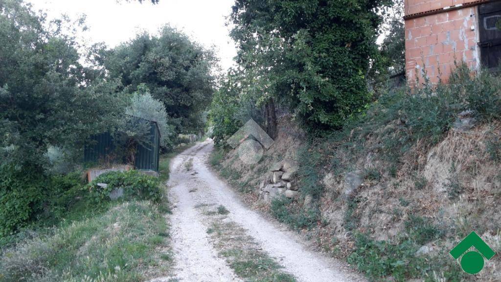 immagine annuncio 3 di 9