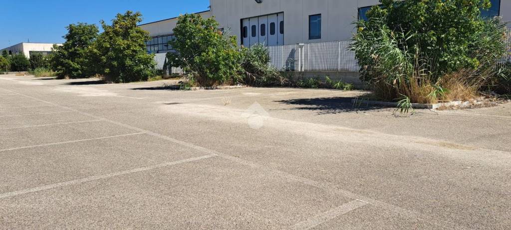 immagine annuncio 7 di 14