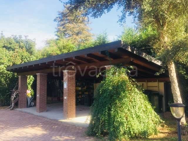 immagine annuncio 1 di 14