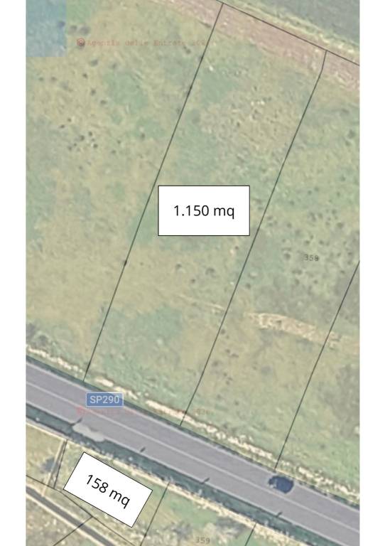 immagine annuncio 3 di 4