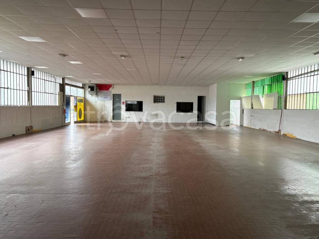 immagine annuncio 2 di 14