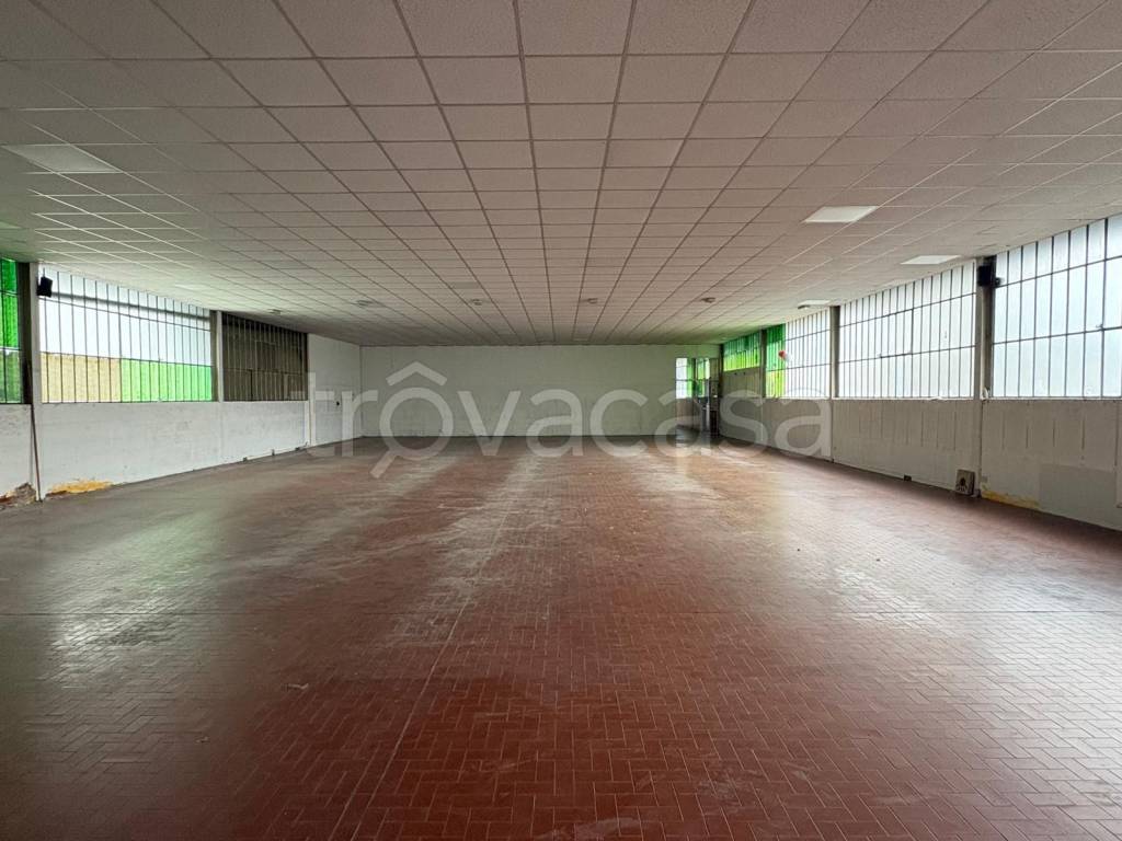 immagine annuncio 3 di 14