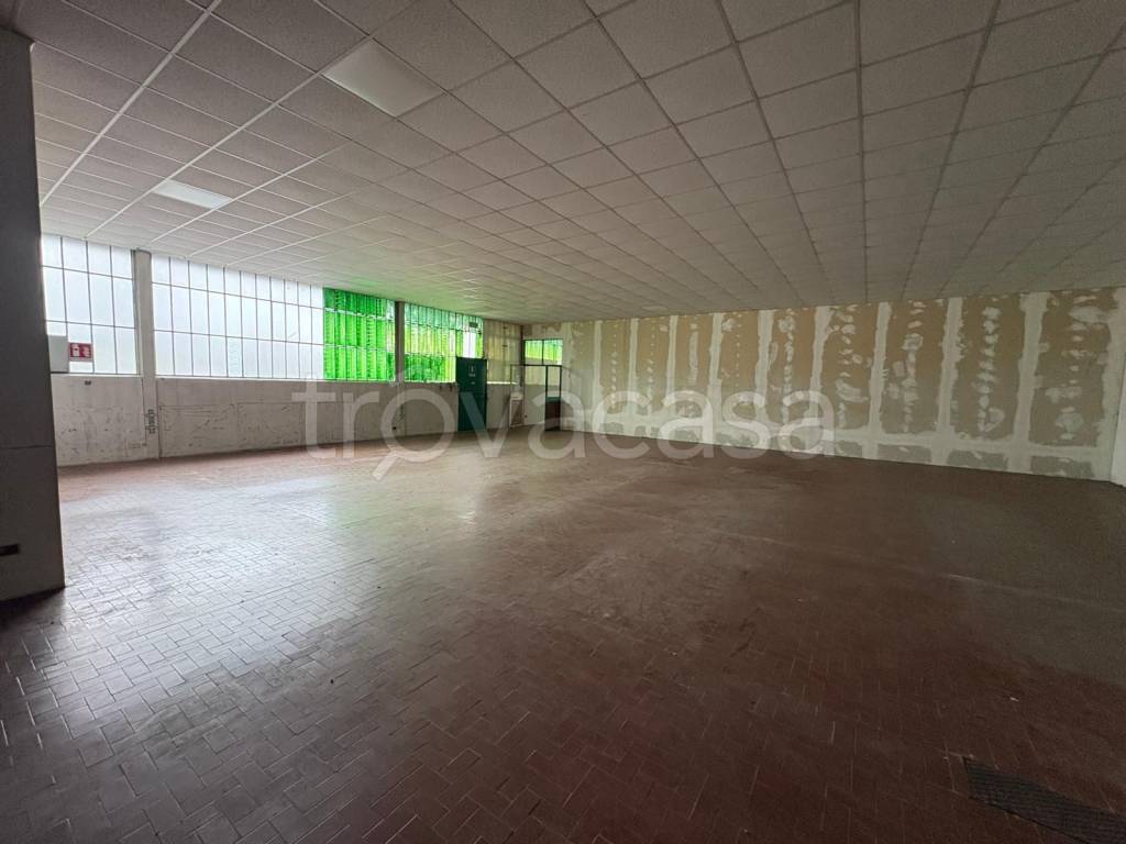 immagine annuncio 4 di 14