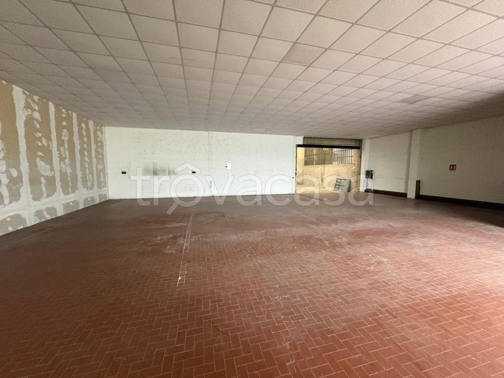 immagine annuncio 5 di 14