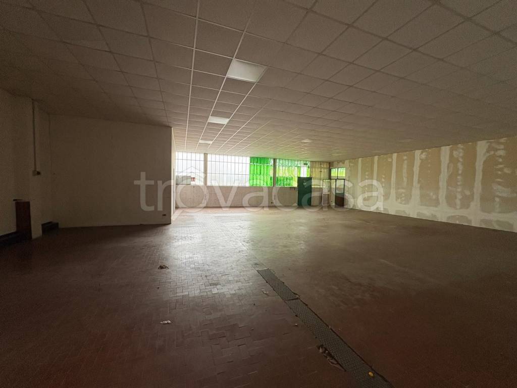 immagine annuncio 6 di 14