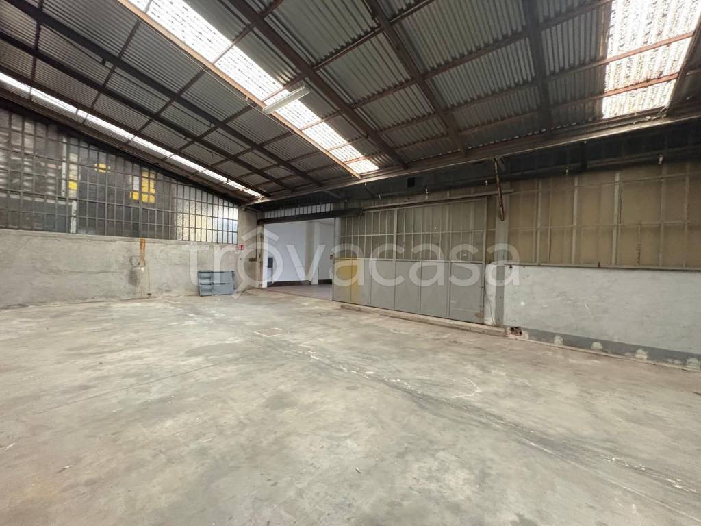 immagine annuncio 7 di 14