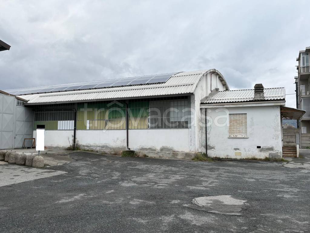 immagine annuncio 12 di 14