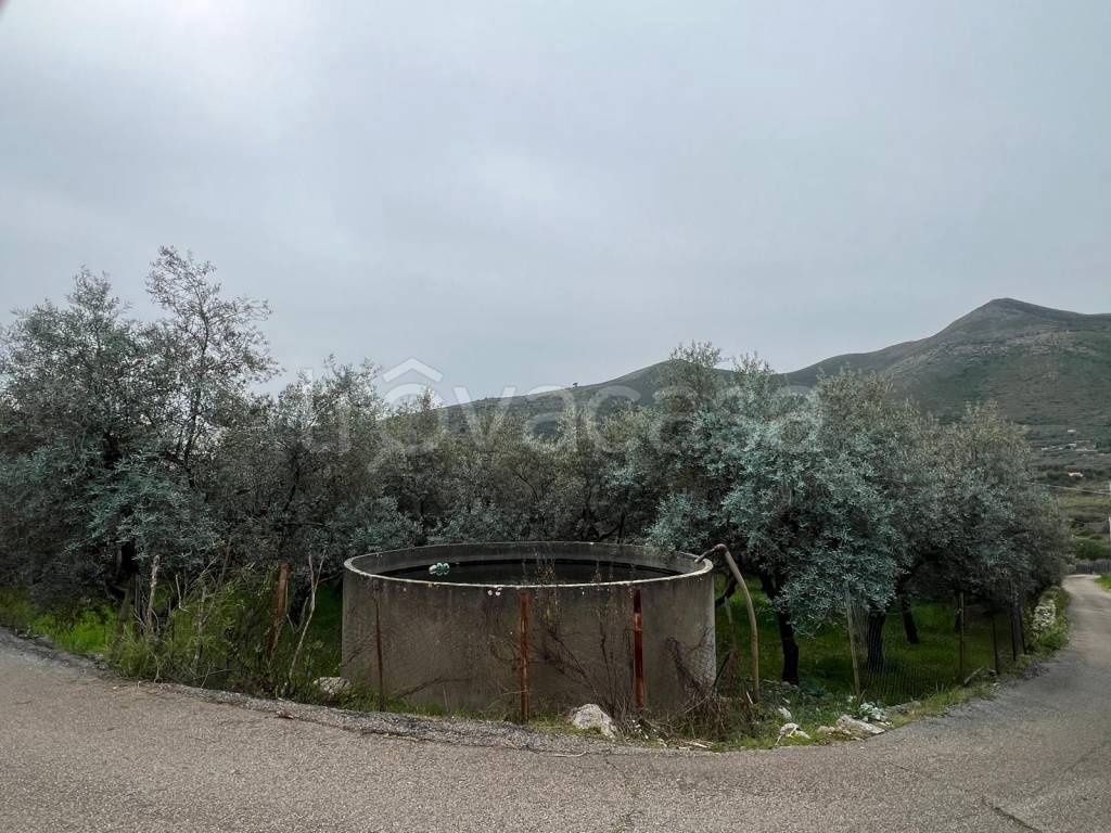 immagine annuncio 8 di 13