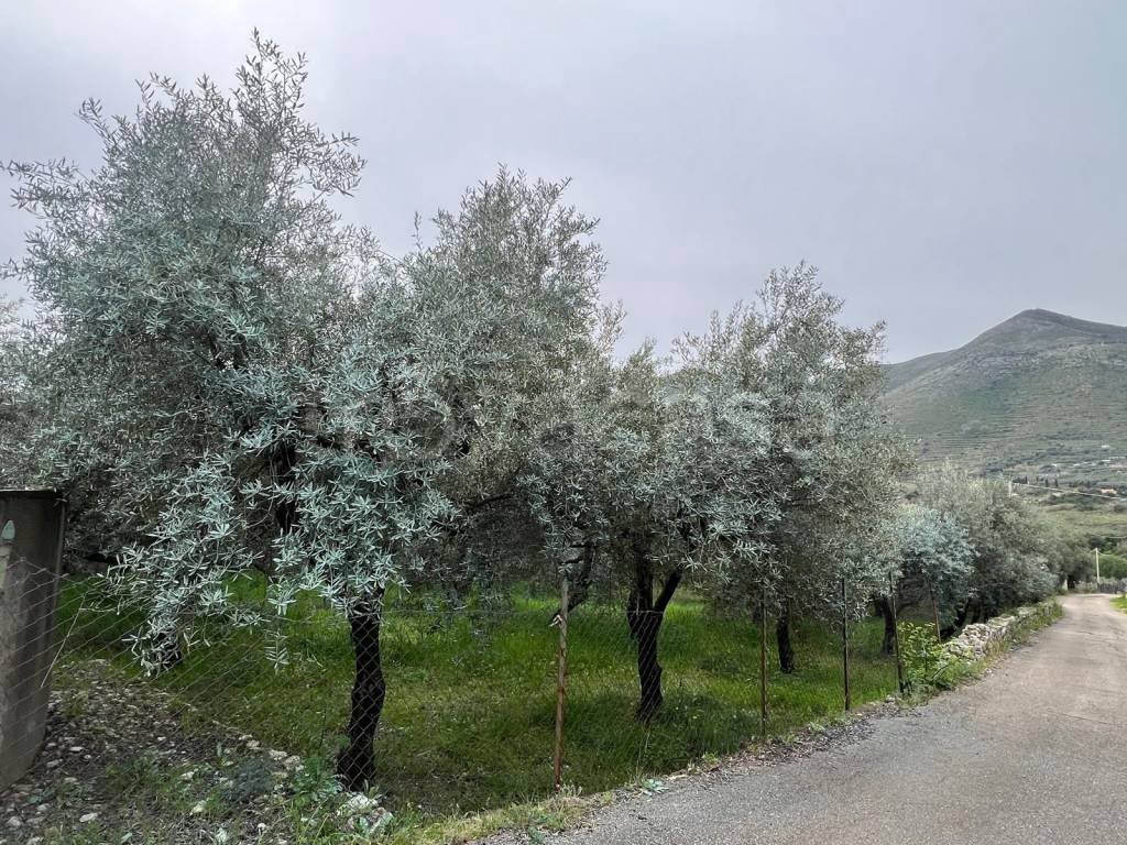 immagine annuncio 9 di 13