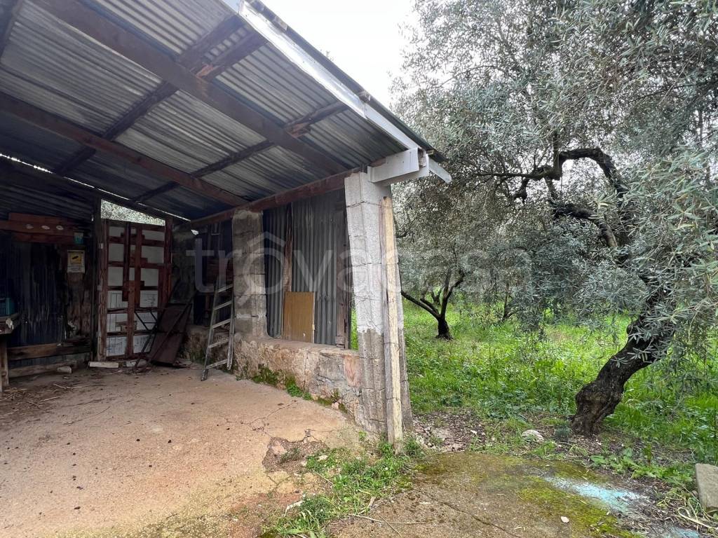 immagine annuncio 12 di 13