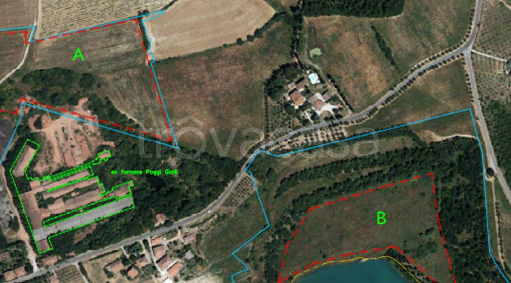 immagine annuncio 3 di 11