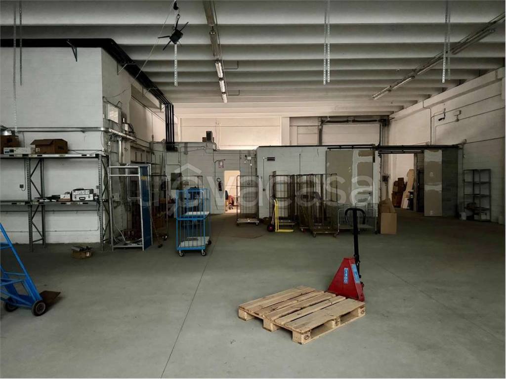 immagine annuncio 5 di 15