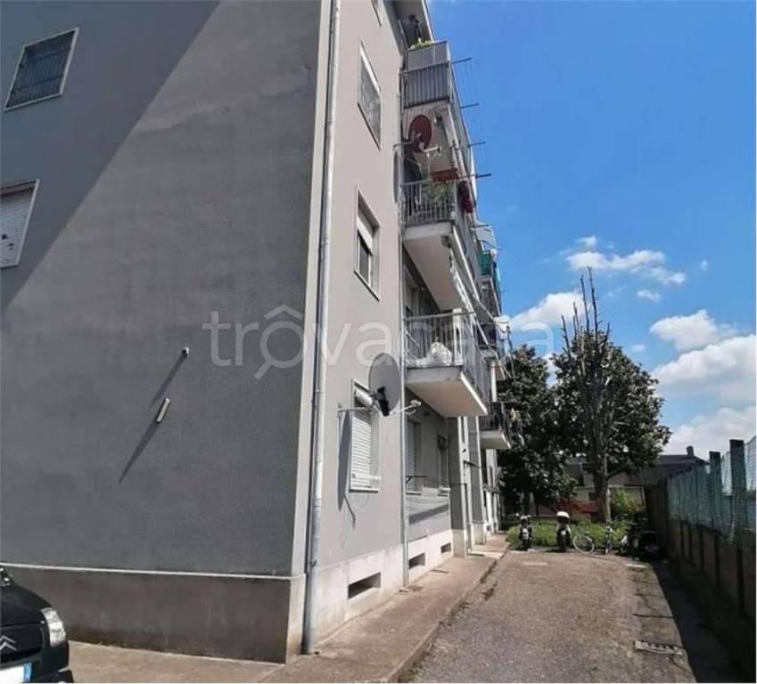 immagine annuncio 3 di 13