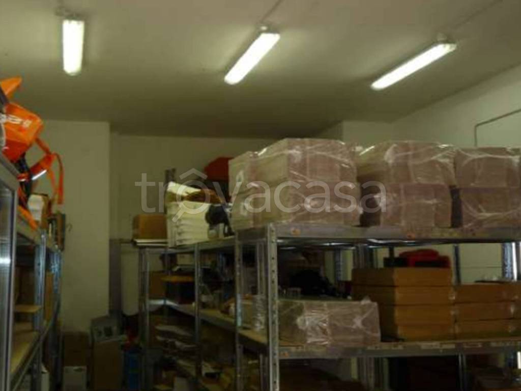 immagine annuncio 4 di 13