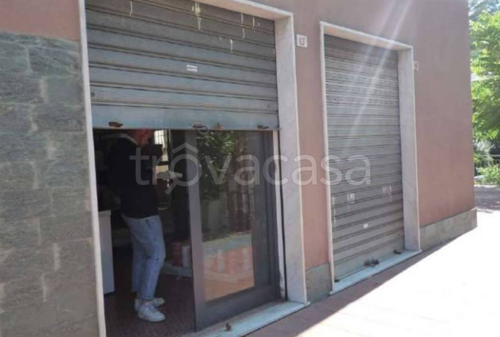 immagine annuncio 6 di 13