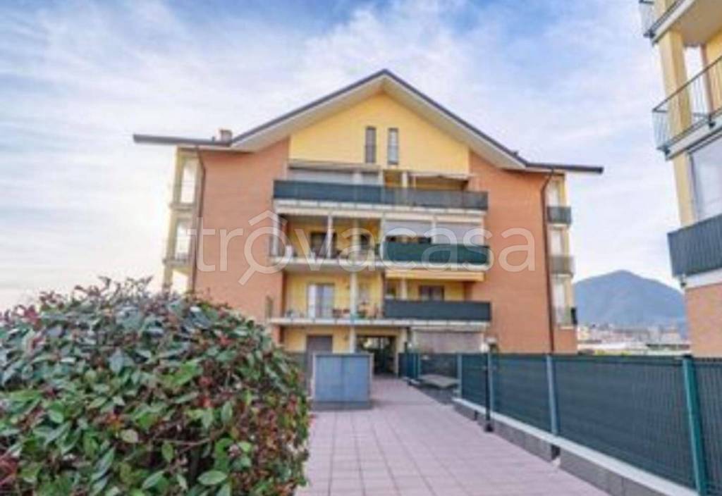 immagine annuncio 4 di 10