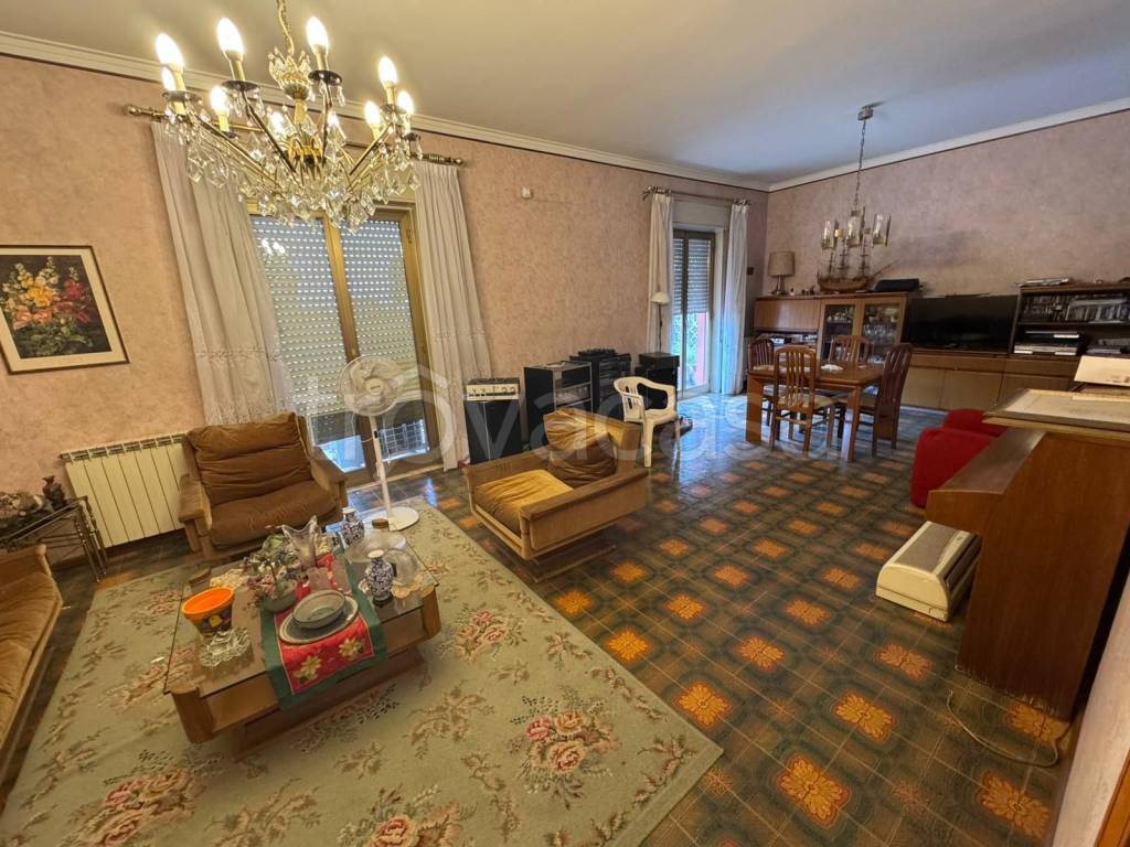 immagine annuncio 4 di 14