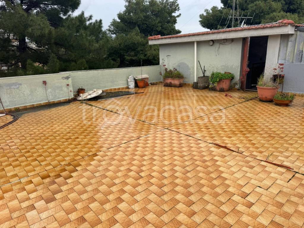 immagine annuncio 12 di 14