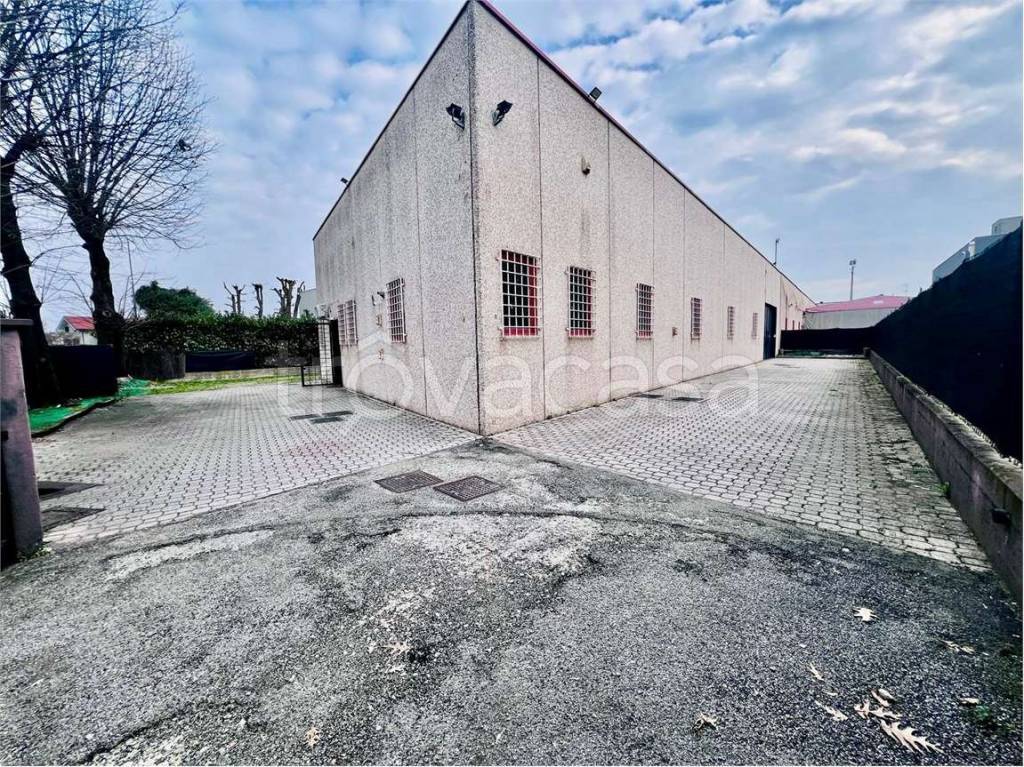 immagine annuncio 7 di 15