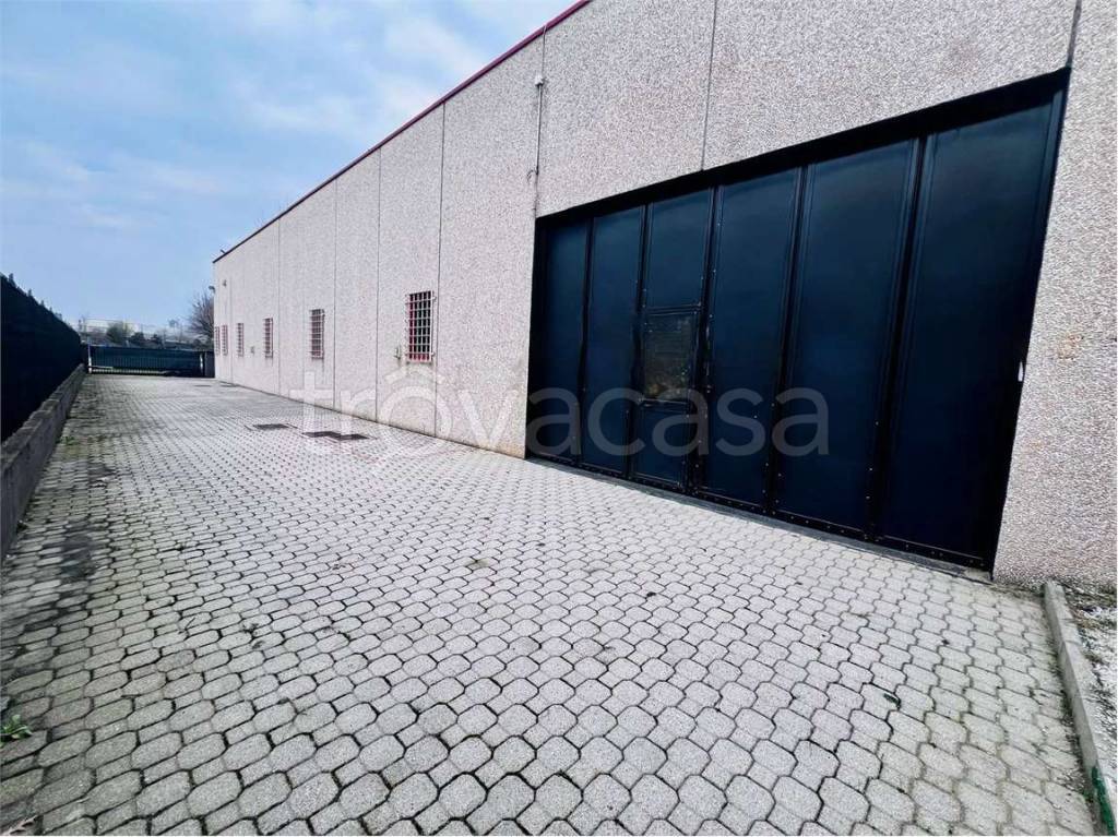 immagine annuncio 11 di 15